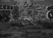 Blue Muse Fine Art with Shelby Griffin - Under The Bridge 1 - 2017.