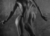 Blue Muse Fine Art - Body Language